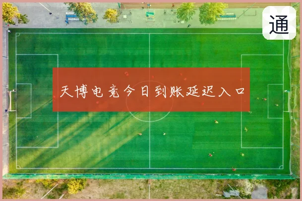 天博电竞今日到账延迟入口